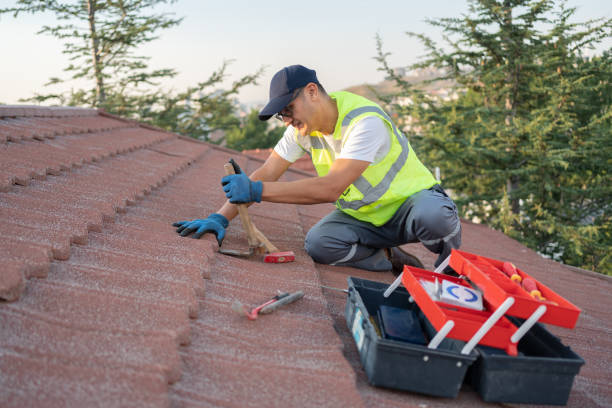 Best Storm Damage Roof Repair  in West Easton, PA