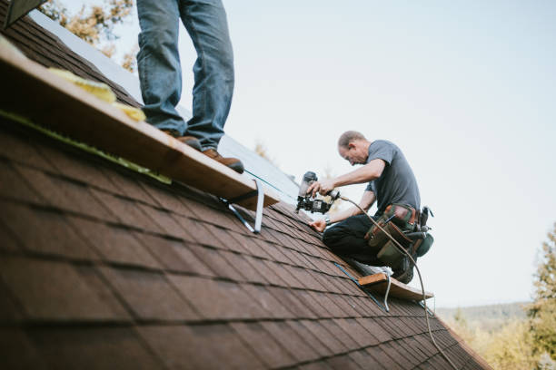 Best Roof Gutter Cleaning  in West Easton, PA